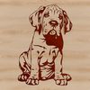 A large breed dog, the Great Dane, is depicted in a sitting position.