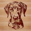 Great Dane Portrait A detailed illustration of a Great Dane's head with a distinctive appearance.