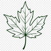 Detailed Maple Leaf Illustration A vector illustration of a single maple leaf with detailed veins and edges.