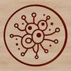 Microscopic illustration of bacteria in various shapes and sizes.