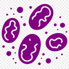 A detailed illustration of a bacteria cell, suitable for graphic design and digital art projects.
