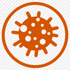 Microscopic illustration of a bacteria cell in vector format.
