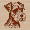 A small breed dog with a distinctive beard and mustache, often kept as a pet.