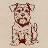 Playful Miniature Schnauzer Breed Portrait A small breed dog with a distinctive beard, sitting on its haunches.