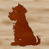 Sitting Miniature Schnauzer Portrait A small breed dog sitting on its haunches, recognizable as a miniature schnauzer with distinctive facial features.