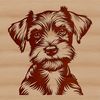 A detailed illustration of a miniature schnauzer's head with distinctive facial features.