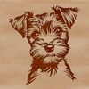 Cute Miniature Schnauzer Vector Graphic Vector graphic representation of a small-sized Schnauzer breed dog, ideal for digital design projects.