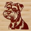 Cute Bearded Dog Illustration A detailed illustration of a miniature dog's head with a distinctive beard and eyebrows.