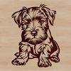 Vector Portrait of a Friendly Miniature Schnauzer A small dog breed with a distinctive bearded face, depicted in vector format.
