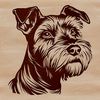 Miniature Dog Breed Portrait A small-sized dog with a distinctive beard and mustache.