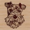 Miniature Schnauzer Facial Expression Vector Close-up illustration of a Miniature Schnauzer's head with distinctive facial features.