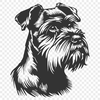 Stunning Miniature Schnauzer - PNG For Commercial Use