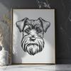 Miniature Schnauzer In PNGs - Free Commercial Use License