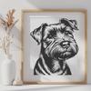 Miniature Schnauzer In PNG Format - Free Digital Download, Commercial Use