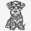 Creative Miniature Schnauzer Image