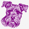 Beautiful Miniature Schnauzer Vector Drawing