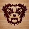 Adorable Morkie Face Illustration Close-up illustration of a small Morkie dog's head, suitable for clip art and vector design.