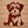 A small dog breed sitting on its hind legs.