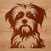 Curly Cutie Dog Breed Portrait A small dog breed with a curly coat and cute facial expression.