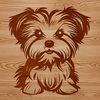 A small dog breed called a Morkie sitting upright with a calm expression.