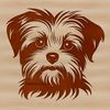 Cute Morkie Dog Breed Illustration A small dog breed, the Morkie, with its distinctive head features.