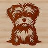 Vector Design of a Sweet Morkie Friend A small dog breed called a Morkie sitting on the ground.