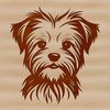 A small, energetic dog breed with a mixed heritage, featuring a cute head and endearing expression.