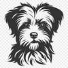 Free Beautiful Morkie Drawing