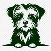 Morkie Design In SVG, PNG, PDF And DXF File Formats