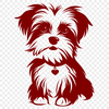 Free Artistic Morkie Image