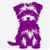 Sitting Morkie PDF