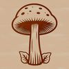 Growth Stages Vector A vector illustration of a mushroom in various growth stages.