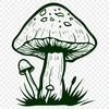 Beautiful Mushroom Printable Image