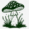 Mushroom In PNG For Download, Free Commercial Use