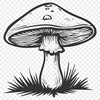 Unique Mushroom Illustration PDF - Free Download