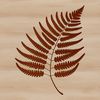 Beautiful Nature Leaf Clip Art Close-up of a natural leaf with intricate details, ideal for clipping path or cutout use in graphics software.