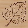 Free Clipart Design A detailed illustration of a single leaf with veins and edges, suitable for vector art and clipart designs.