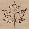 Nature-Inspired Vector Design A detailed illustration of a single leaf with veins and edges, suitable for vector design and cutting machine projects.