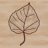 A stylized illustration of a single leaf with veins and edges, suitable for vector graphics.