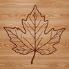 A stylized single leaf illustration A stylized illustration of a single leaf with pointed edges and veins, suitable for vector graphics design.