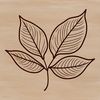 A detailed vector illustration of a leaf in various shades of green, suitable for commercial or personal use as a template.