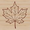 Single Leaf Silhouette A detailed outline of a single leaf with veins and edges clearly defined as a graphic element.