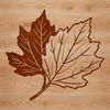 A beautifully detailed leaf design A single leaf with intricate veins, suitable for vector design or clip art.