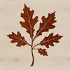 A single, detailed green leaf with veins, suitable for vector design and cutting machine applications.
