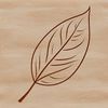 A Single Green Leaf Illustration in Vector Format An illustration of a single green leaf in vector format.