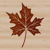 A stylized illustration of a single leaf in various natural settings, suitable for vector art designs.