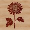 Vibrant Floral Blooms in Vector Design A vector graphic representation of a single blooming Chrysanthemum plant in floral design style.
