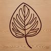 Beautiful Leaf Outline A single leaf with a detailed outline, suitable for vector art and graphic design projects.