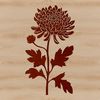 A high-resolution SVG graphic of a single Chrysanthemum bloom, ideal for use in vector art and digital designs.