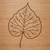 Detailed Leaf SVG Vector Image A detailed illustration of a leaf with veins and texture.